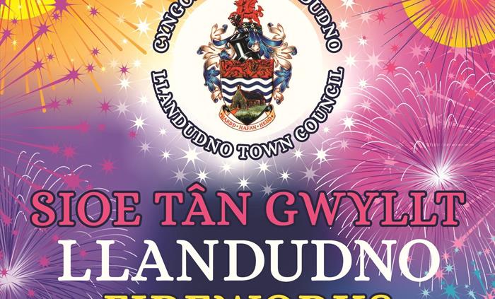 Fireworks Display Poster 2025